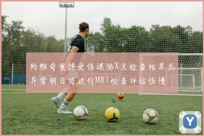 约维奇重摔受伤退场X光检查结果无异常明日将进行MRI检查评估伤情